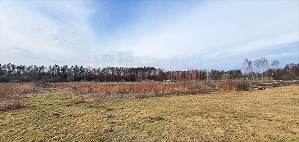 działka na sprzedaż 75000m2 działka Osowiec