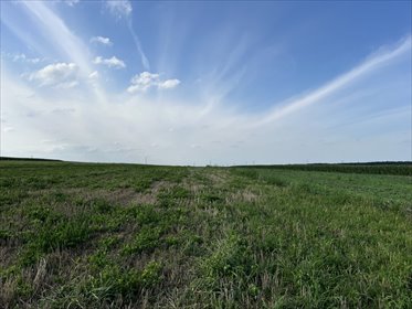 Działka inwestycyjna 3 066 m² w Opolu - polecam działka Opole, Groszowice