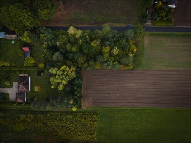 Działka budowlana 3000 m² | Brogi k. Ldzania | WZ | Dolina Grabi działka Brogi