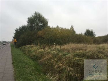 działka na sprzedaż 6122m2 działka Dołuje