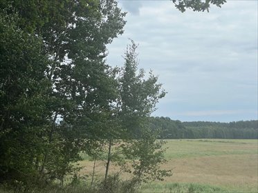Działka rolna 4 600 m² w Ościęcinie - polecam działka Ościęcin