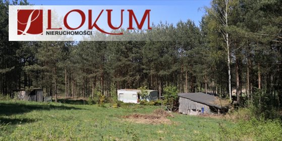 Działka budowlana na sprzedaż Biały Bukowiec 59 600m2 Foto 6