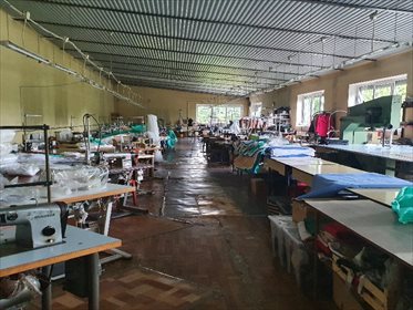 lokal użytkowy na wynajem 400m2 lokal użytkowy Panki, Panki