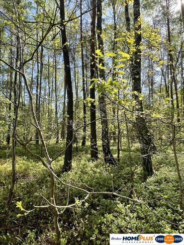 działka na sprzedaż 1397m2 działka Ciemne