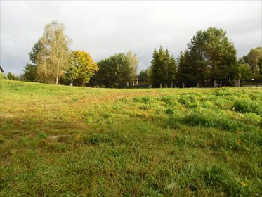 działka na sprzedaż 1191m2 działka Koleczkowo, Hippiczna