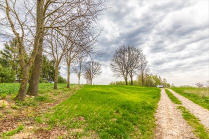 Działka rolna 3900 m² z mediami, cicha okolica działka Płouszowice-Kolonia