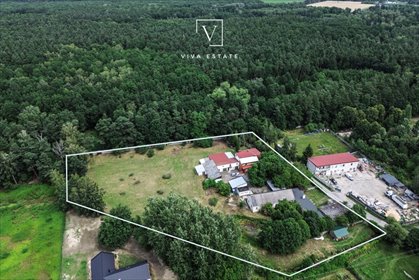 działka na sprzedaż 12000m2 działka Borowina