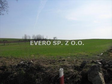 działka na sprzedaż 12500m2 działka Wawrzyszów, Gm. Wiązów - Wydane WZ pod dom opieki