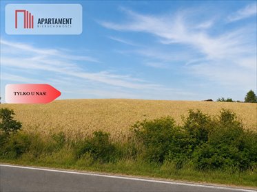 Sprzedam działkę inwestycyjną 4963 m² przy drodze wojewódzkiej działka Klawkowo