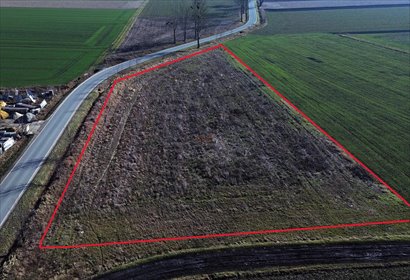 działka na sprzedaż 6026m2 działka Święta Katarzyna