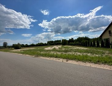 działka na sprzedaż 4500m2 działka Oleksin, Oleksin