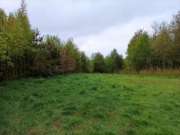 działka na sprzedaż 2412m2 działka Leśno