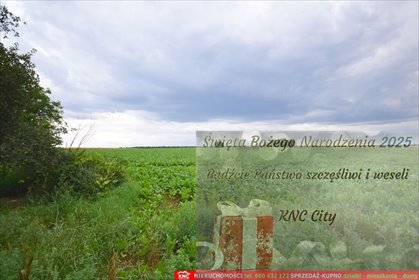 działka na sprzedaż 6000m2 działka Osmolice Pierwsze