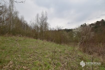 Działka rekreacyjna na sprzedaż Zręczyce 10 287m2 Foto 3