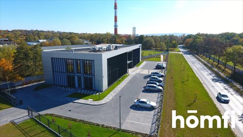 lokal użytkowy na wynajem 336m2 lokal użytkowy Tarnów, Krzyż, al. Piaskowa