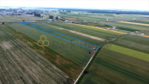 działka na sprzedaż 3000m2 działka Święciechowa