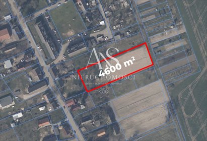 Działka 4600 m² z warunkami zabudowy w Starej Dąbrowie działka Stara Dąbrowa