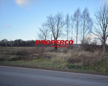 Działka 7161 m² z mediami i lasami w Bodzentynie - zapraszam działka Bodzentyn
