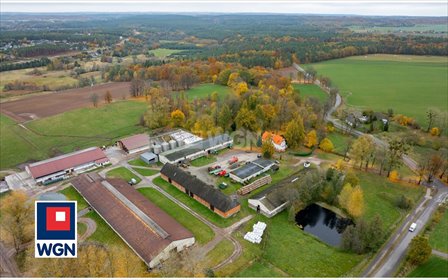 Ekologiczne gospodarstwo rolne 240 ha z farmą mleczną działka Wyczechowo, Wyczechowo