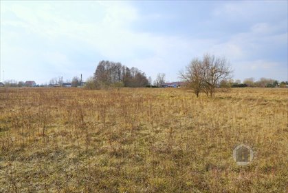 Na sprzedaż działka 1159 m² w Deszcznie z decyzją o warunkach zabudowy działka Deszczno