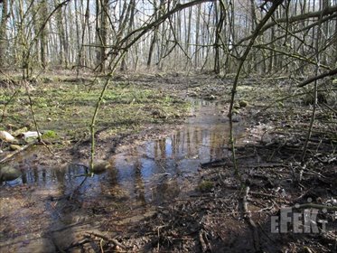 działka na sprzedaż 9740m2 działka Stary Łajszczew