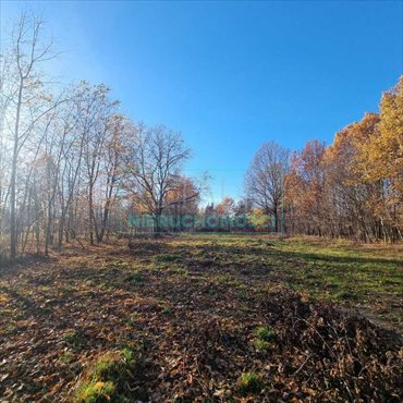 działka na sprzedaż 2461m2 działka Chrzanów Mały