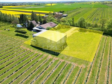 magazyn na sprzedaż 357m2 magazyn Miłobądz, Szkolna