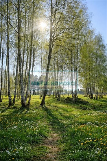 Działka 1150 m² w Radziejowicach blisko pałacu i parków działka Radziejowice-Parcel