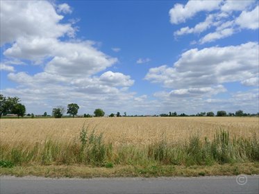 Działka 5891 m² z dobrym dojazdem - polecam działka Wola Mąkolska