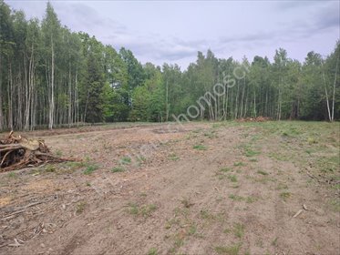 Działki budowlane w Adamowiznie, 4x1200 m2, cicha okolica działka Adamowizna
