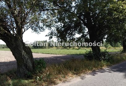 działka na sprzedaż 3000m2 działka Niepiekła