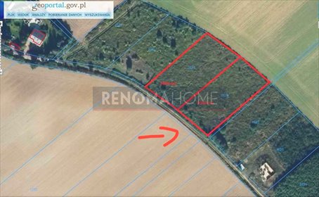 działka na sprzedaż 3000m2 działka Żarów