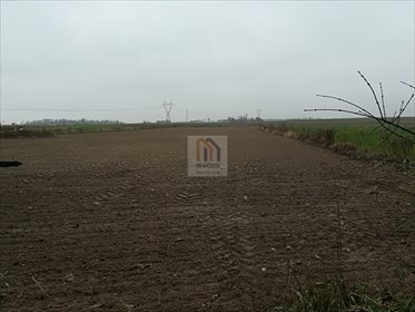 Działka budowlana na sprzedaż Iżyce 9 700m2 Foto 6