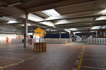 Polecam magazyn 1500 m² z dokami, ogrzewaniem i monitoringiem magazyn Wrocław