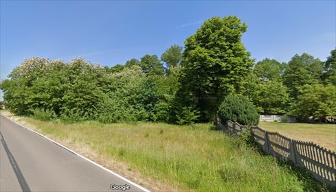 działka na sprzedaż 11300m2 działka Dąbrówka, Marianowska