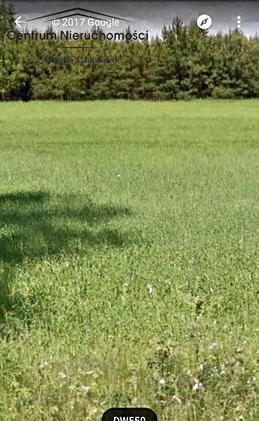 Działka rolna na sprzedaż Kokocko 16 500m2 Foto 6