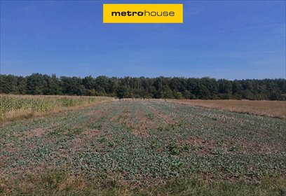 działka na sprzedaż 3782m2 działka Pławniowice, Parkowa