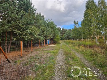 działka na sprzedaż 1178m2 działka Krępa