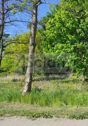 działka na sprzedaż 1274m2 działka Parzniew