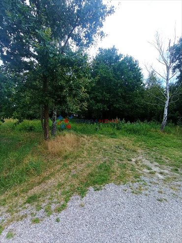 działka na sprzedaż 1200m2 działka Baszkówka