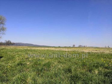 działka na sprzedaż 946m2 działka Dzierżoniów, Główna
