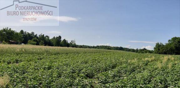 Działka budowlana na sprzedaż Glinik Górny 3 200m2 Foto 3