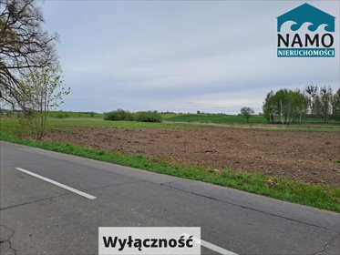 działka na sprzedaż 3746m2 działka Gołębiewo Wielkie, Wrzosowa