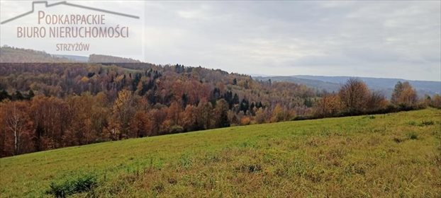 Działka budowlana na sprzedaż Żarnowa 9 900m2 Foto 2
