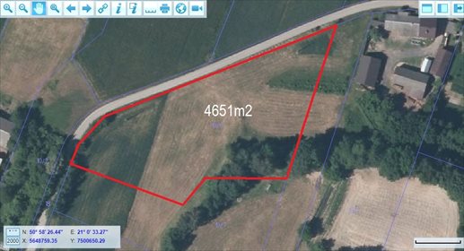 Działka budowlana na sprzedaż Radkowice-Kolonia 4 651m2 Foto 6