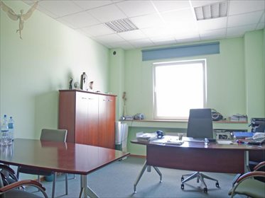Magazyn na sprzedaż Kórnik 14 500m2 Foto 4