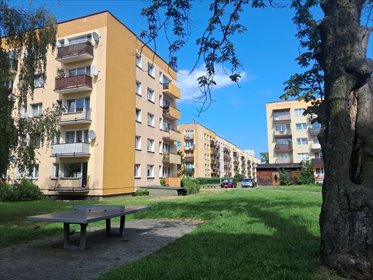 Do sprzedania komfortowe 2-pokojowe mieszkanie 37,52 m² w Siemianowicach mieszkanie Siemianowice Śląskie, Michałkowice, Stawowa