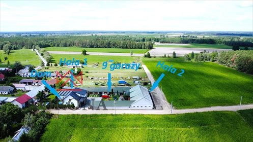 Polecam nieruchomość z domem i halami magazynowymi 1745 m² magazyn Brzozowa Wólka