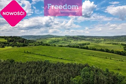 Działka rekreacyjna na sprzedaż Makowa 5 700m2 Foto 5