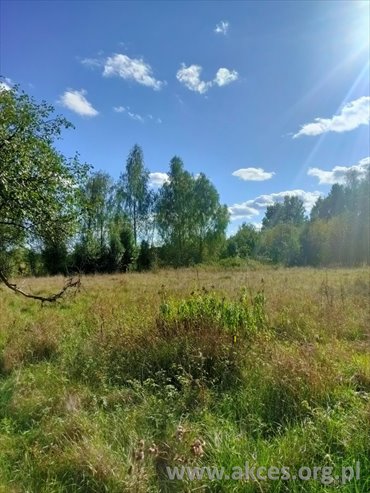 Działka rolno-leśna z możliwością zabudowy 14 715 m² - polecam! działka Przęsławice
